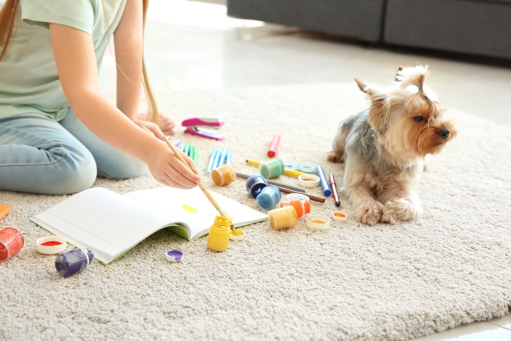 Is it worth paying for professional carpet cleaning?